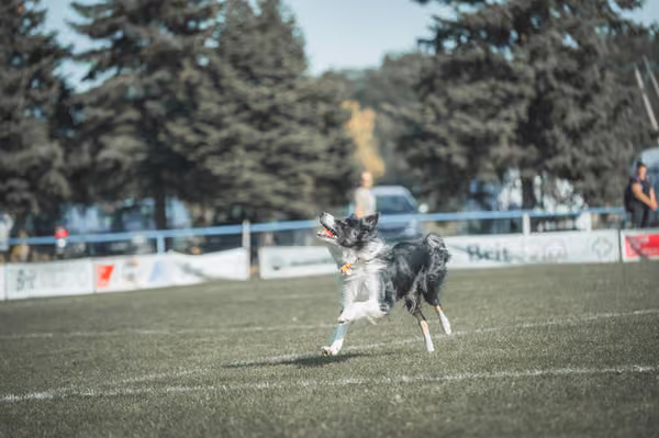 USDDN 27.9.2026 – 27. září 2026