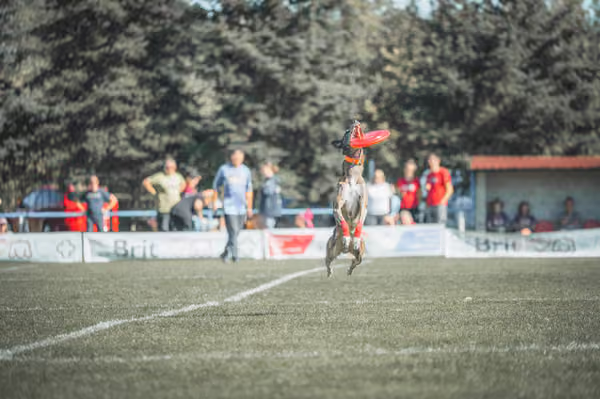 USDDN 27.9.2026 – 27. září 2026
