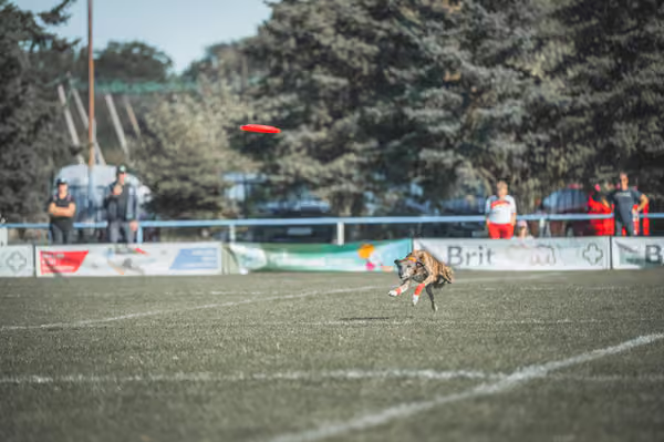 USDDN 27.9.2026 – 27. září 2026