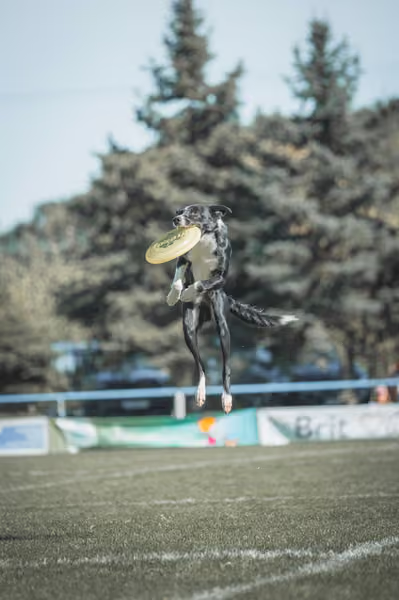 USDDN 27.9.2026 – 27. září 2026