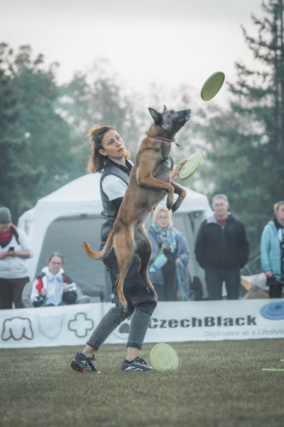 USDDN 27.9.2026 – 27. září 2026