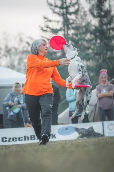 USDDN 27.9.2026 – 27. září 2026