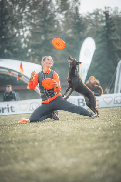 USDDN 27.9.2026 – 27. září 2026