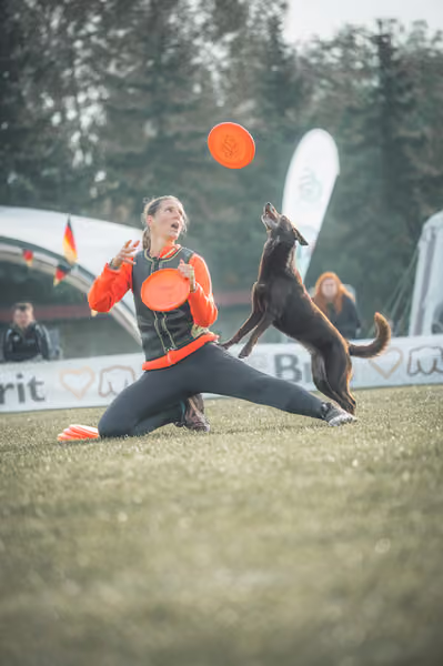 USDDN 27.9.2026 – 27. září 2026
