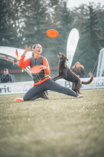 USDDN 27.9.2026 – 27. září 2026