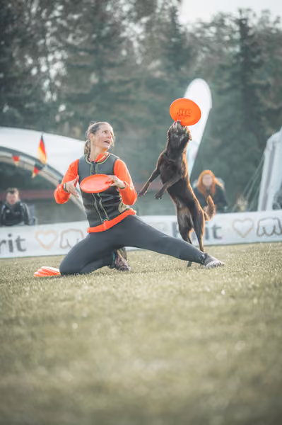 USDDN 27.9.2026 – 27. září 2026