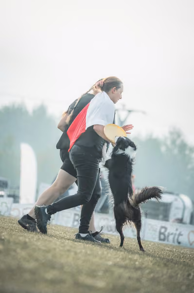 USDDN 27.9.2026 – 27. září 2026