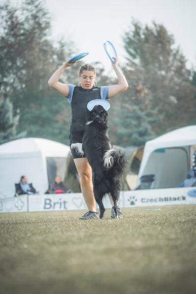USDDN 27.9.2026 – 27. září 2026