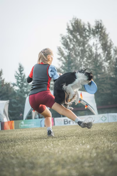 USDDN 27.9.2026 – 27. září 2026