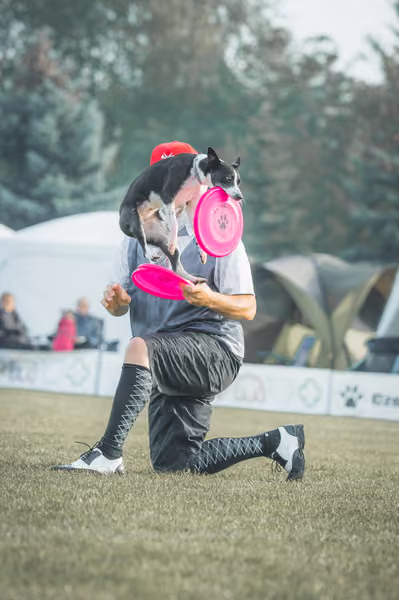 USDDN 27.9.2026 – 27. září 2026