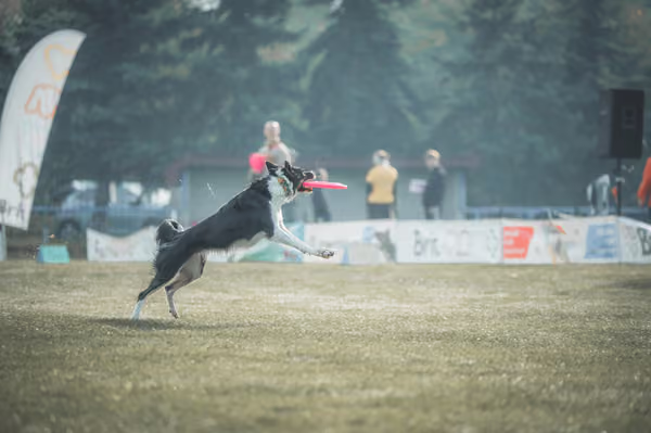 USDDN 27.9.2026 – 27. září 2026