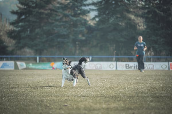 USDDN 27.9.2026 – 27. září 2026