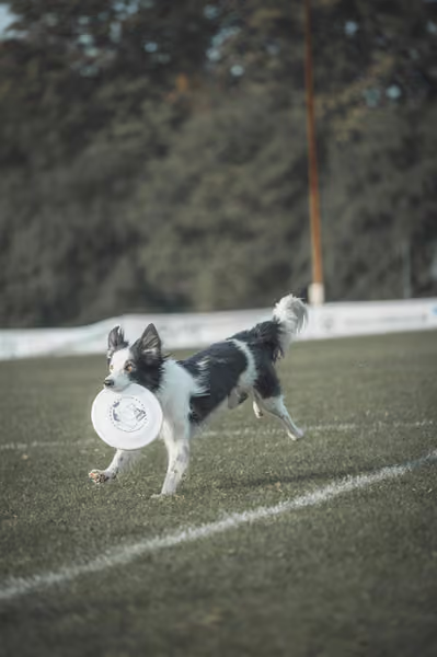 USDDN 27.9.2026 – 27. září 2026
