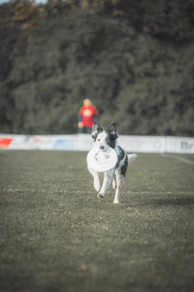 USDDN 27.9.2026 – 27. září 2026