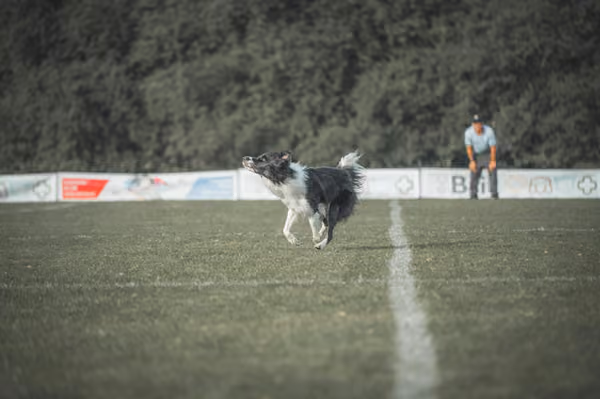 USDDN 27.9.2026 – 27. září 2026