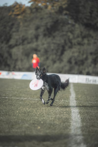 USDDN 27.9.2026 – 27. září 2026
