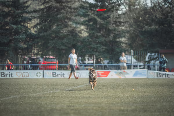 USDDN 27.9.2026 – 27. září 2026