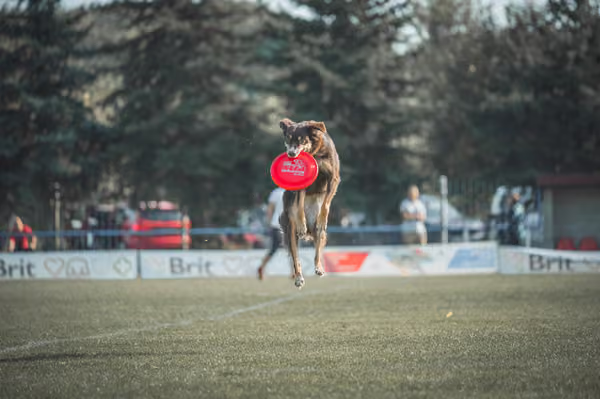 USDDN 27.9.2026 – 27. září 2026