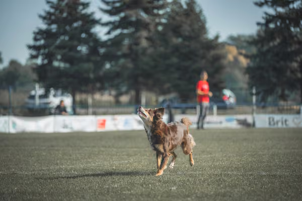 USDDN 27.9.2026 – 27. září 2026