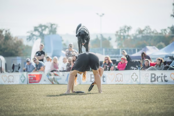USDDN 27.9.2026 – 27. září 2026