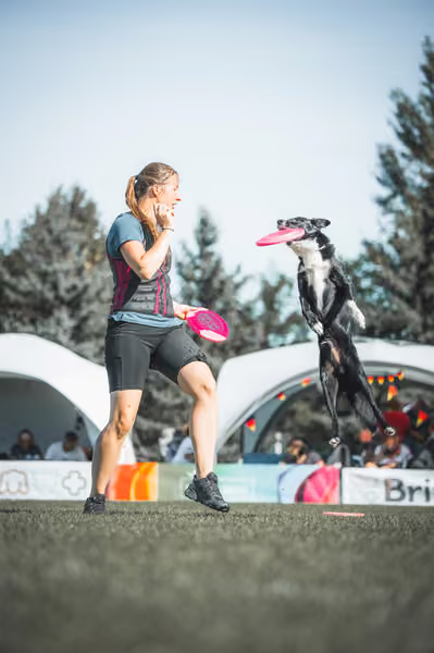USDDN 27.9.2026 – 27. září 2026