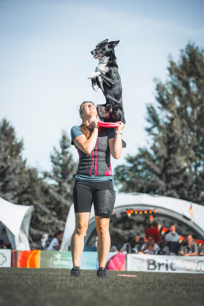USDDN 27.9.2026 – 27. září 2026