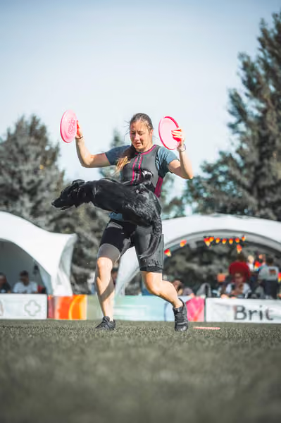 USDDN 27.9.2026 – 27. září 2026
