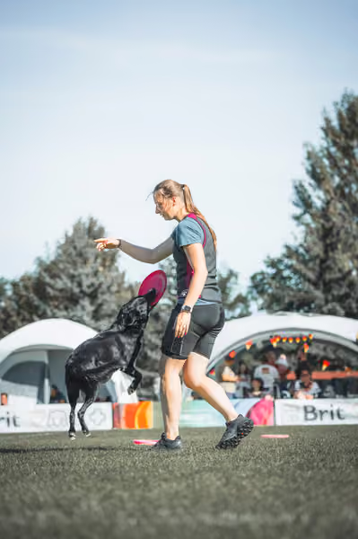 USDDN 27.9.2026 – 27. září 2026