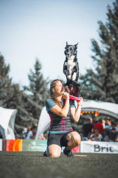 USDDN 27.9.2026 – 27. září 2026
