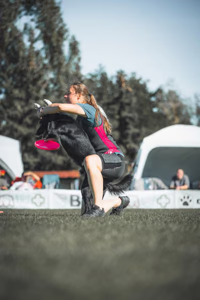 USDDN 27.9.2026 – 27. září 2026