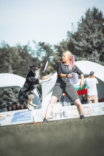 USDDN 27.9.2026 – 27. září 2026