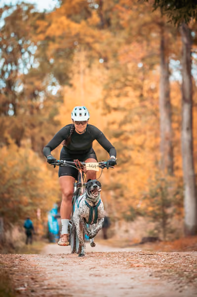 Leskros Hradečák 24.10.2026_BKJ_SC – 24. října 2026