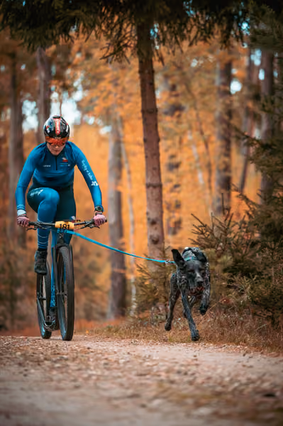 Leskros Hradečák 24.10.2026_BKJ_SC – 24. října 2026