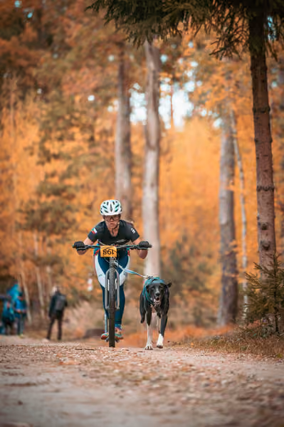 Leskros Hradečák 24.10.2026_BKJ_SC – 24. října 2026