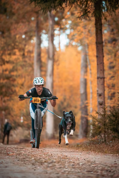 Leskros Hradečák 24.10.2026_BKJ_SC – 24. října 2026