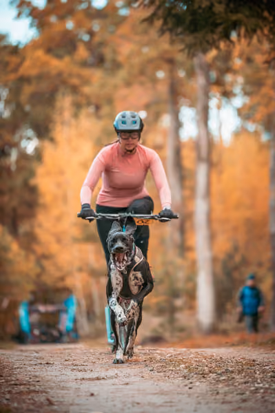 Leskros Hradečák 24.10.2026_BKJ_SC – 24. října 2026