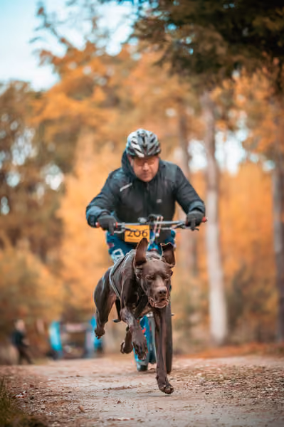 Leskros Hradečák 24.10.2026_BKJ_SC – 24. října 2026