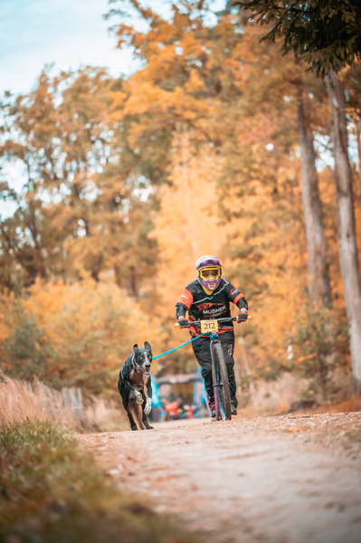 Leskros Hradečák 24.10.2026_BKJ_SC – 24. října 2026