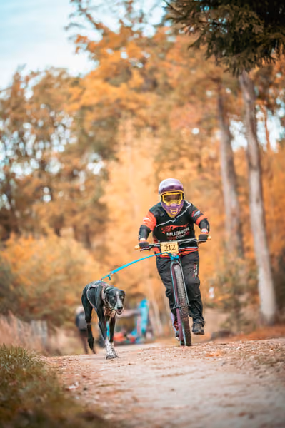 Leskros Hradečák 24.10.2026_BKJ_SC – 24. října 2026