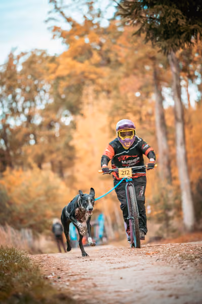 Leskros Hradečák 24.10.2026_BKJ_SC – 24. října 2026