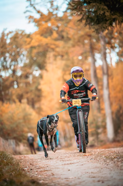 Leskros Hradečák 24.10.2026_BKJ_SC – 24. října 2026