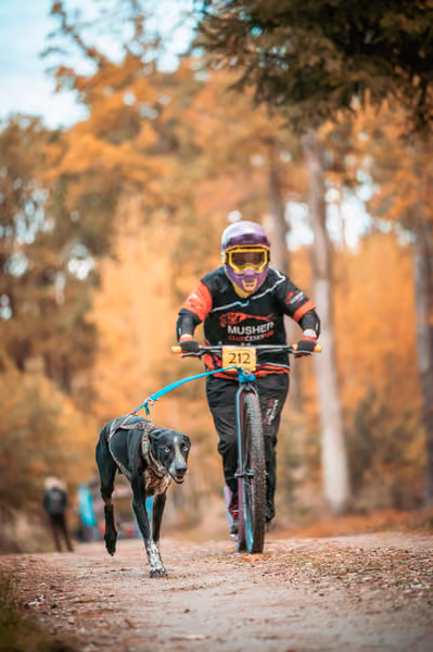 Leskros Hradečák 24.10.2026_BKJ_SC – 24. října 2026