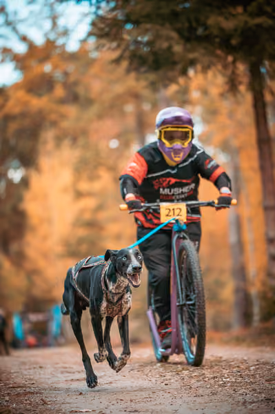 Leskros Hradečák 24.10.2026_BKJ_SC – 24. října 2026
