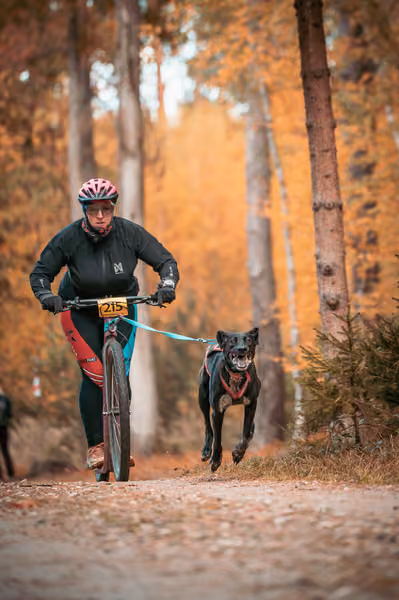 Leskros Hradečák 24.10.2026_BKJ_SC – 24. října 2026