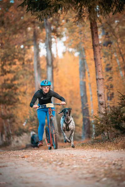 Leskros Hradečák 24.10.2026_BKJ_SC – 24. října 2026