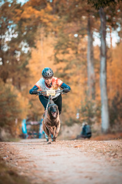 Leskros Hradečák 24.10.2026_BKJ_SC – 24. října 2026