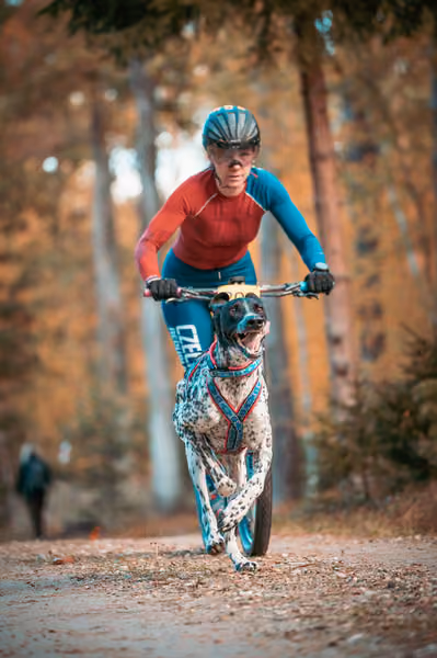 Leskros Hradečák 24.10.2026_BKJ_SC – 24. října 2026