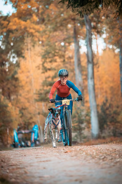 Leskros Hradečák 24.10.2026_BKJ_SC – 24. října 2026
