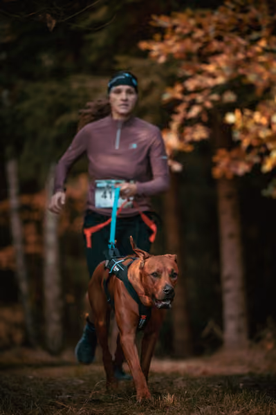 Leskros Hradečák 24.10.2026_CC – 24. října 2026