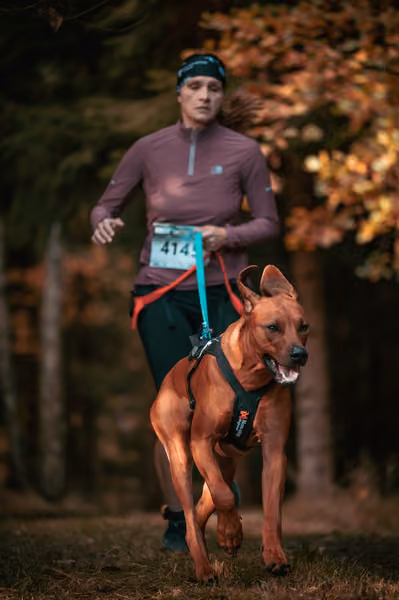 Leskros Hradečák 24.10.2026_CC – 24. října 2026